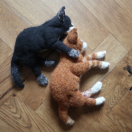 Котик